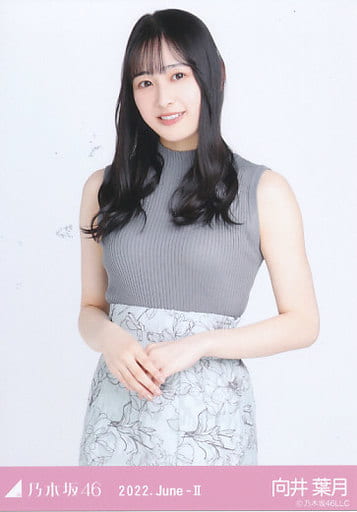 駿河屋 -<中古>向井葉月/上半身・ノースリーブニット/「乃木坂46