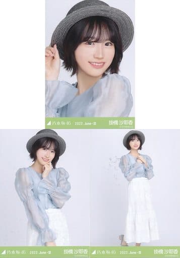 掛橋沙耶香 会場生写真フルコンプ 乃木坂46 生写真 掛橋沙耶香 会場生写真フルコンプ 乃木坂46 生写真 【公式通販】