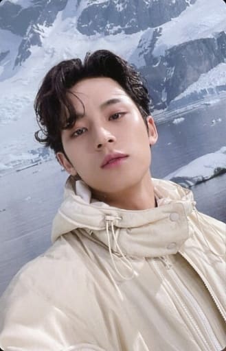 駿河屋 -<中古>SEVENTEEN/MINGYU(ミンギュ)/裏面青・黒/CD「SECTOR 17