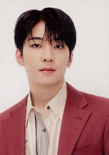 SEVENTEEN BE THE SUN メモリアルカード　ウォヌ　WONWOO 駿河屋 -<中古>84：SEVENTEEN/WONWOO(ウォヌ)/「SEVENTEEN WORLD TOUR
