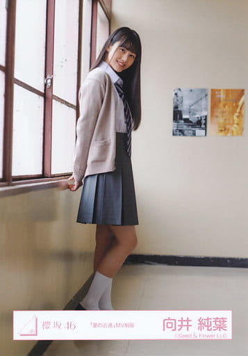 駿河屋 -<中古>向井純葉/全身/櫻坂46ランダム生写真【「夏の近道