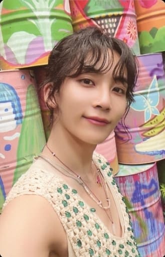 SEVENTEEN HEAVEN トレカ JEONGHAN ジョンハン 2026年最新】heaven ジョンハンの人気アイテム - メルカリ