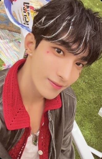 SEVENTEEN HEAVEN トレカ DK ドギョム SEVENTEEN Heaven 5種類セットトレカ | K-Smile