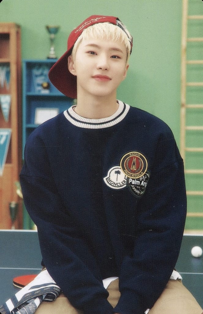 Seventeen in carat land ホシ hoshi SEVENTEEN ホシ HOSHI CARAT LAND トレカ - メルカリ