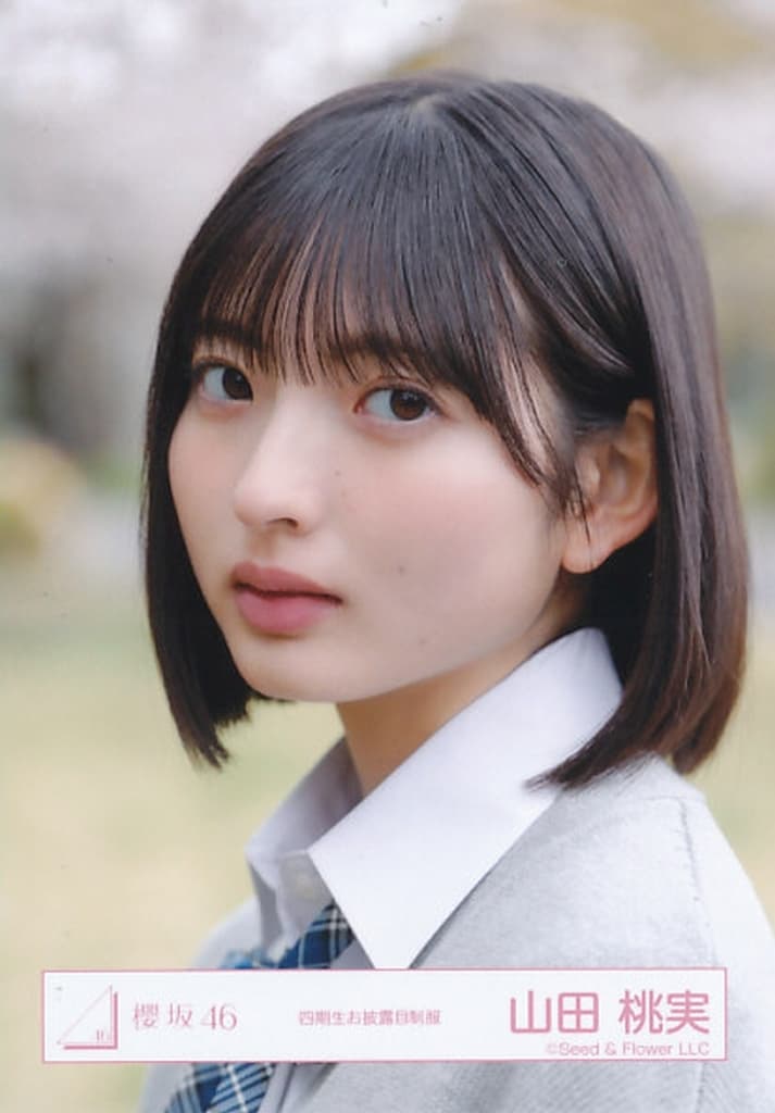 駿河屋 -<中古>櫻坂46/山田桃実/バストアップ/櫻坂46ランダム生写真