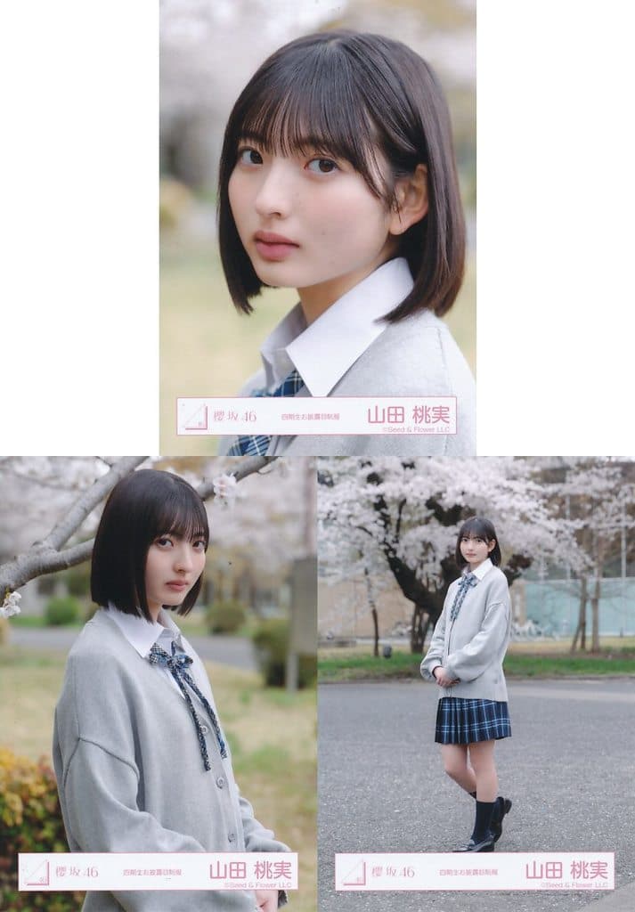 駿河屋 -<中古>◇櫻坂46/山田桃実/櫻坂46ランダム生写真【四期生