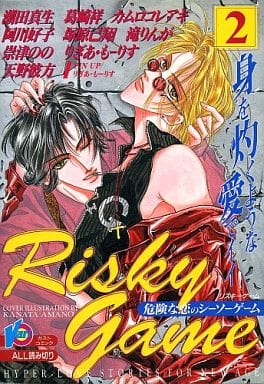 Risky Game 岩縫鑰匙遊戲2 書 Suruga Ya Com