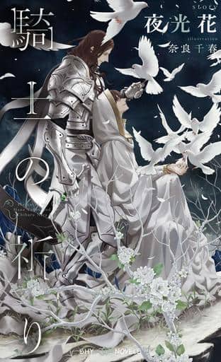 男情小说 未完set 少年神 骑士系列1 3卷shy Novels 书 Suruga Ya Com