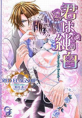 Boys' Love Novels Kimi wa Junpaku ~ Sleeping Beauty ~ Gash Library ...