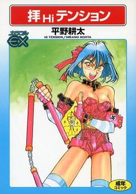 駿河屋 -【アダルト】<中古>拝Hiテンション（B6サイズコミック）