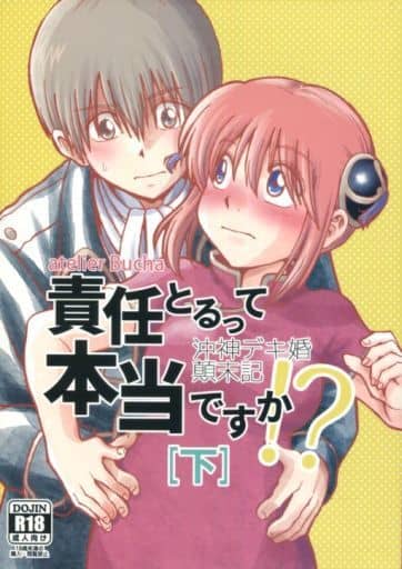 銀魂 同人誌 責任とるって本当ですか！？総集編＋a 沖神 沖田総