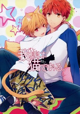 Fate You Are The Cat Gilgamesh X Shiro Emiya Doujin Suruga Ya Com Fate You Are The Cat Gilgamesh X Shiro Emiya Doujin Suruga Ya Com