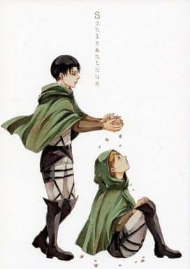 Women And Boys Love Doujinshi Attack On Titan Schizanthus Captain Levi X Petra Doujin Suruga Ya Com