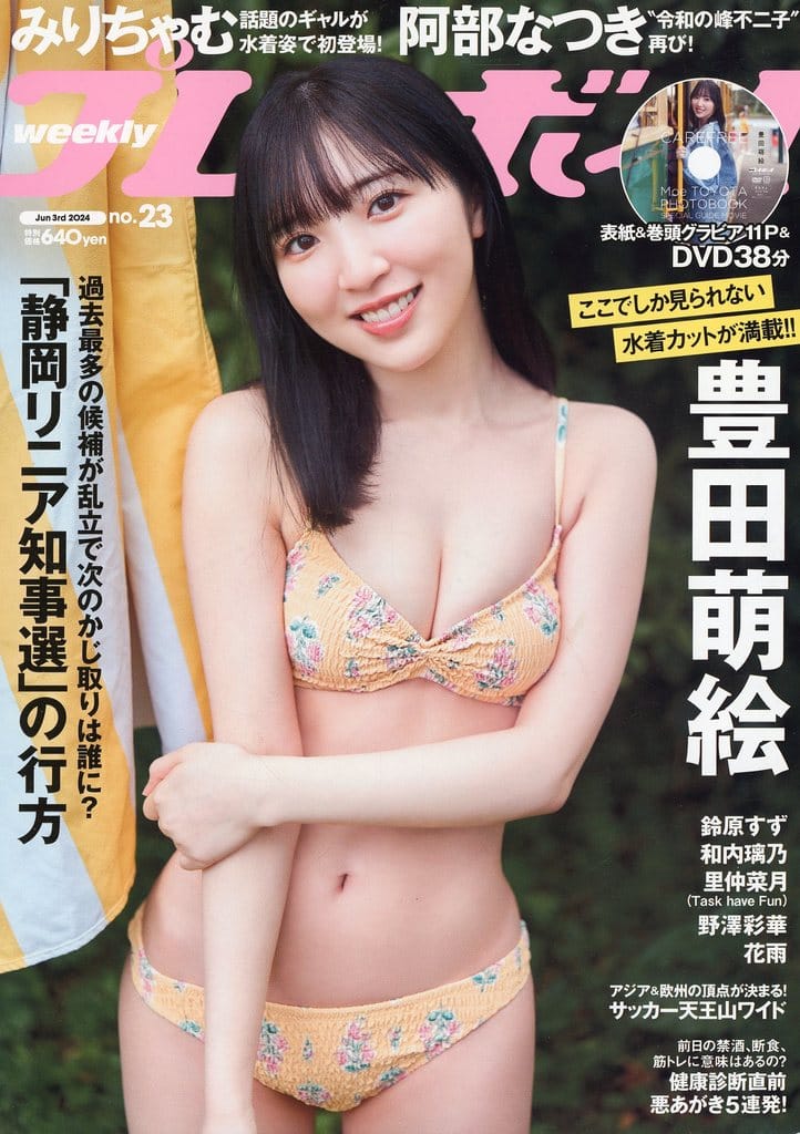 アイドル主にプレイボーイの古いカバーあり(破け跡あり)DVD付録の詰合わせ96枚 駿河屋 -<中古>DVD付)週刊プレイボーイ グラビアスペシャル増刊 GW2016