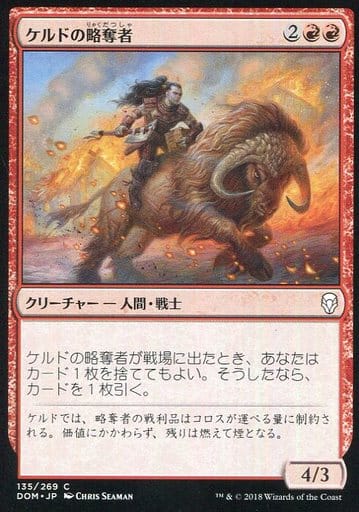 C 凱爾德掠奪者 Keldon Raider 玩具模型 Suruga Ya Com
