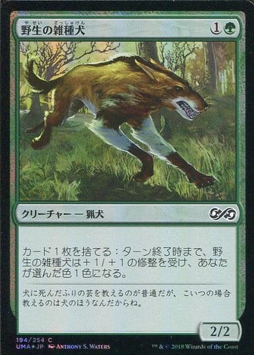 駿河屋 -<中古>[C]：【FOIL】野生の雑種犬/Wild Mongrel（マジックザ