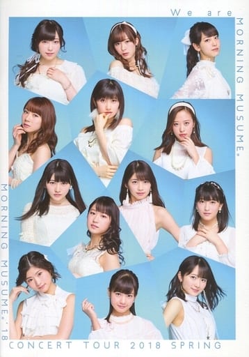 駿河屋 -<中古><<パンフレット(ライブ)>> パンフ)モーニング娘。誕生20