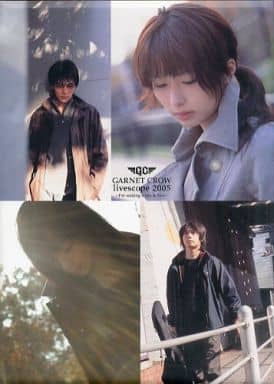 パンフレット GARNET CROW first livescope 2002 First Soundscope 〜水のない晴れた海へ〜 [CD] Garnet Crow/JAPAN/J