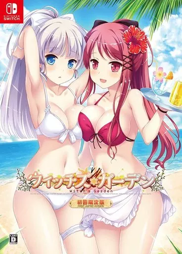 駿河屋 -<中古>ウィッチズガーデン [初回限定版]（ニンテンドー
