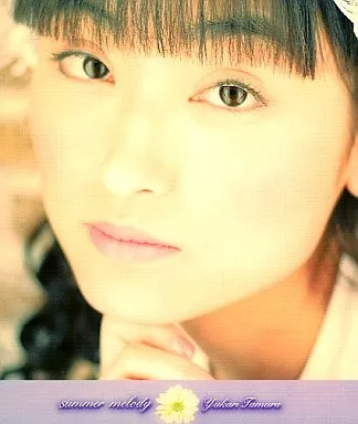 summer melody jacket from 駿河屋