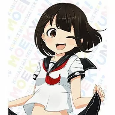 PAGE / もえきゅん!かわいいは正義 MIX