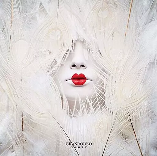 少年の果て jacket from 駿河屋