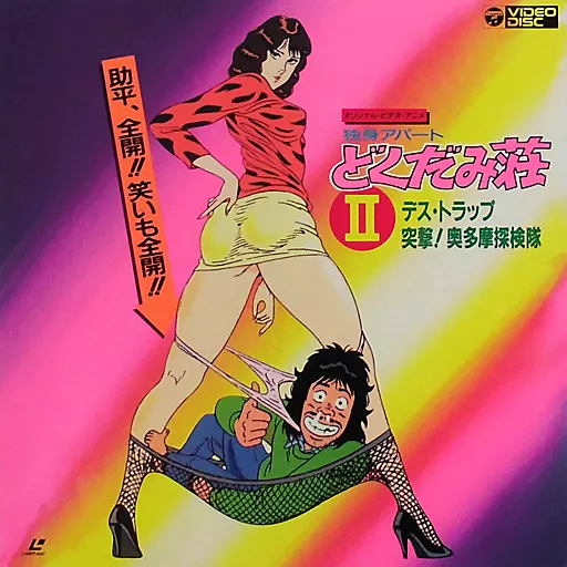 LD　独身アパート どくだみ荘2