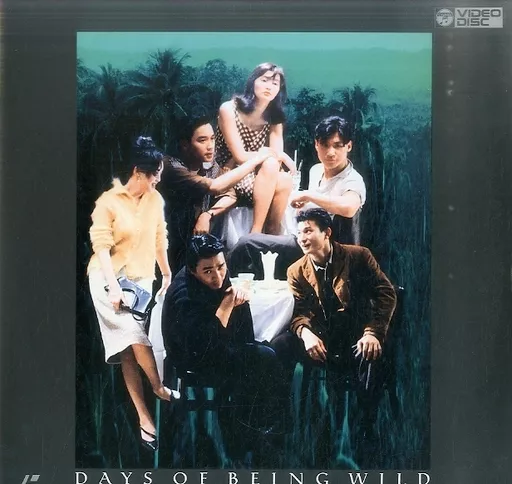 欲望の翼('90香港) 駿河屋 -<中古>欲望の翼('90香港)（洋画）