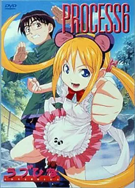 ラブひな PROCESS 6 [通常版]