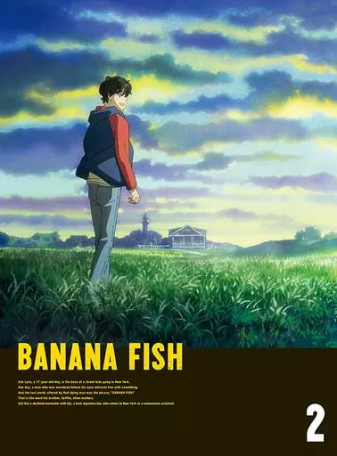 アニメDVD　BANANA FISH DVD BOX 2 [完全生産限定版]