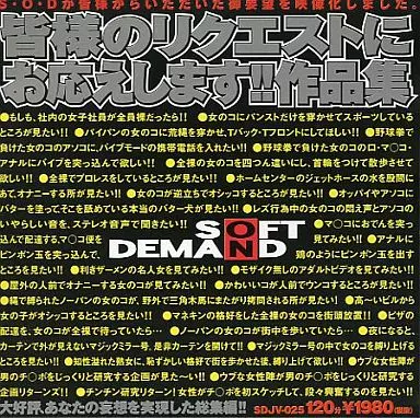 駿河屋 -【アダルト】<中古>皆様のリクエストにお応えします!! 作品集