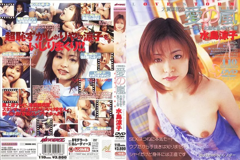 愛の嵐 ニュー涼子 大胆な私を見て!の巻 / 水島涼子