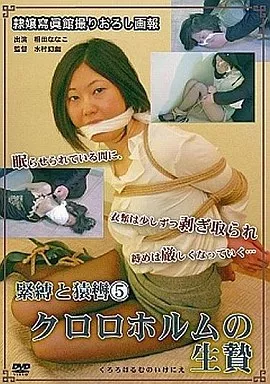 緊縛と猿轡 (5) クロロホルムの生贄