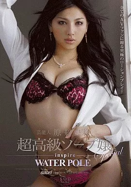 芸能人 原紗央莉 超高級ソープ嬢 Special inspire WATER POLE / 原紗央莉