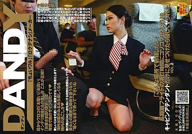 「こんな場所で射精したい!長距離フライトの消灯時間にコソコソせんずりをキャビンアテンダントだけに見せつけたら優しくヤられた」VOL.2