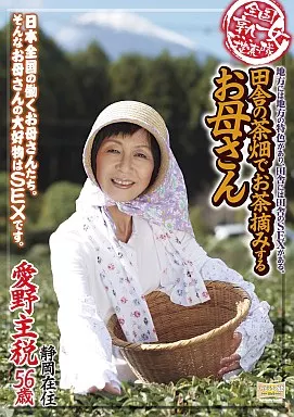 田舎の茶畑でお茶摘みするお母さん / 愛野主税