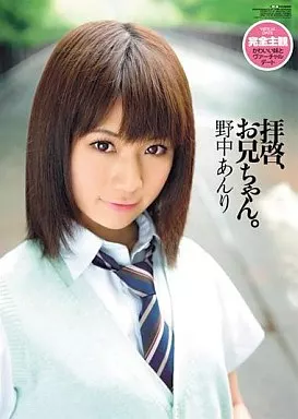 拝啓、お兄ちゃん。/野中あんり
