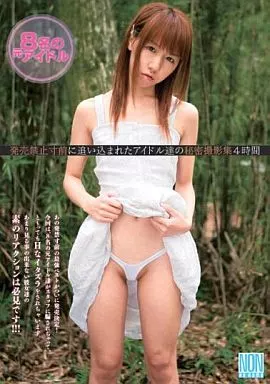 発売禁止寸前に追い込まれたアイドル達の秘密撮影集4時間 / 相崎真希・真野汐里 他