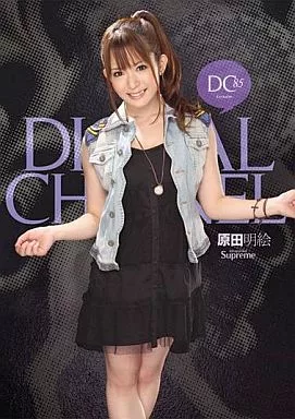 DIGITAL CHANNEL DC 85