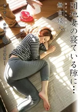 無言侵入 団地妻の寝ている隙に… / 山崎由里子・甲斐ミハル 他