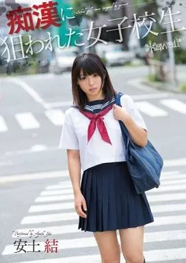 痴漢に狙われた女子校生 / 安土結