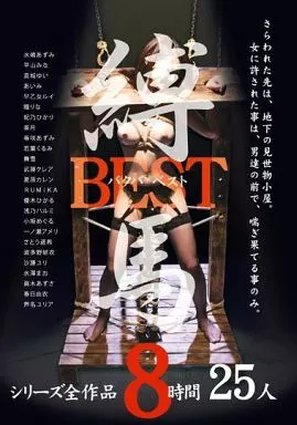 縛馬 BEST シリーズ全作品25人8時間 / 水嶋あずみ 他