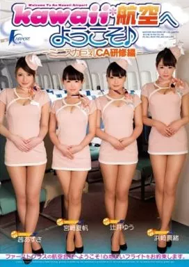 kawaii*航空へようこそ♪ -ミニスカ巨乳CA研修編- / 茜あずさ・辻井ゆう 他
