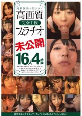 高画質完全主観フェラチオ 未公開16人4時間 / 武藤つぐみ・夏海いく 他