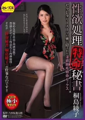 性欲処理特命秘書 セクレタリースーツの奥に隠された淫欲剛毛特命セックス / 桐島綾子