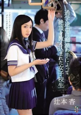 通学途中に痴漢の手によって絶頂を教え込まれた女子校生 / 辻本杏