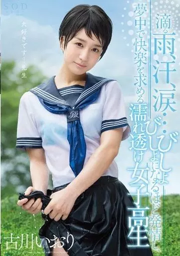 滴る雨、汗、涙…びしょびしょになるほど発情し、夢中で快楽を求める濡れ透け女子○生 / 古川いおり