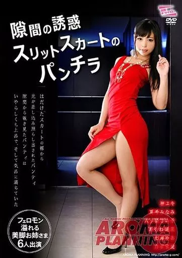 隙間の誘惑 スリットスカートのパンチラ