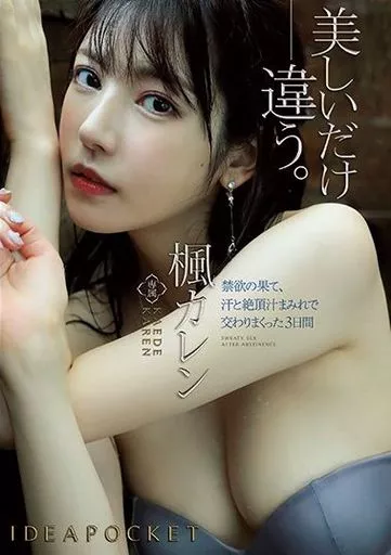 禁欲の果て、汗と絶頂汁まみれで交わりまくった3日間 / 楓カレン