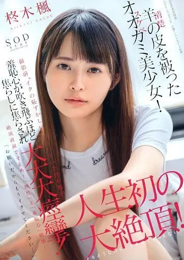 羊(清楚)の皮を被ったオオカミ(スケベ)美少女!「お願いだからもうイカせてください…」撮影前“イクの恥ずかしい”と言っていた柊木楓が羞恥心が吹き飛ぶほど焦らしに焦らされ大大大痙攣! 人生初の大絶頂! / 柊木楓(レンタル落ち)